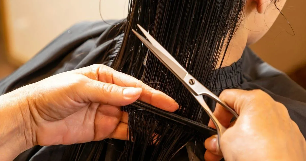 Coiffeuse coupant aux ciseaux les cheveux mouillés d'une cliente